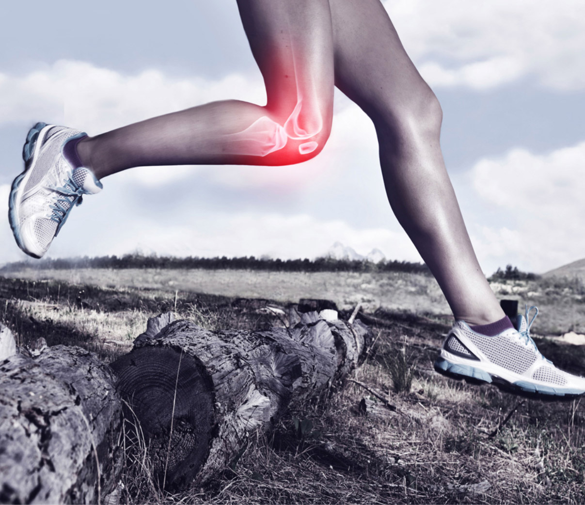 A runner’s legs are pictured with a superimposed skeletal image of the knee joint highlighted in red. The letters PTX overlay the image to represent the physical therapy treatment services offered.