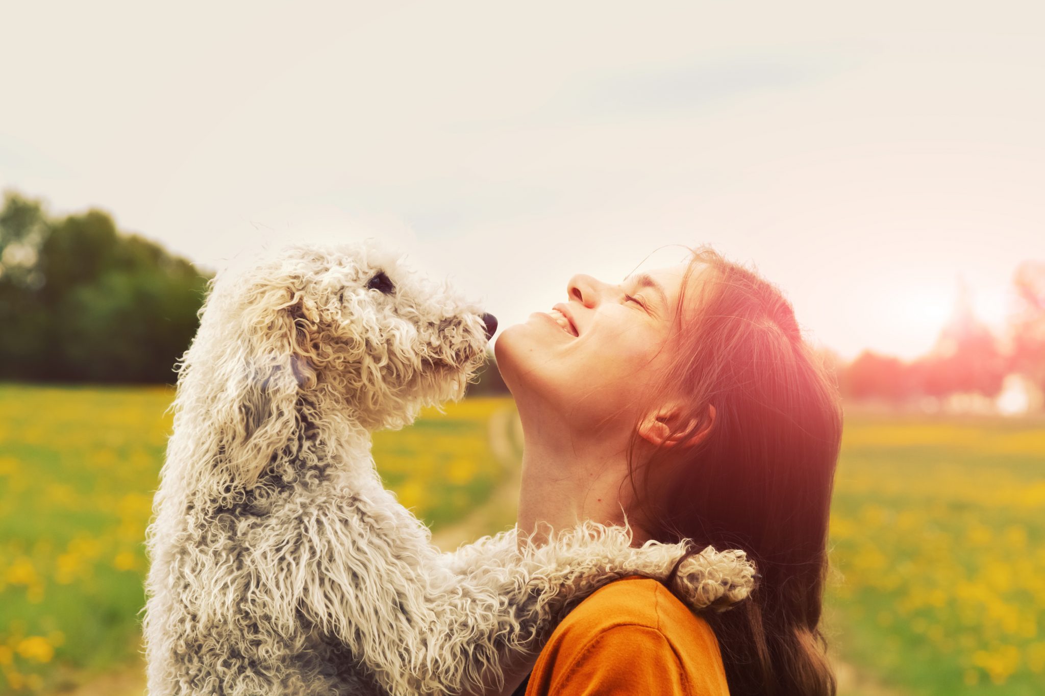 Pain Reduction Through Pet Therapy