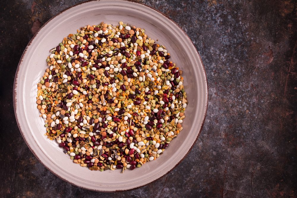 Simple Food Terms – Fiber Explained