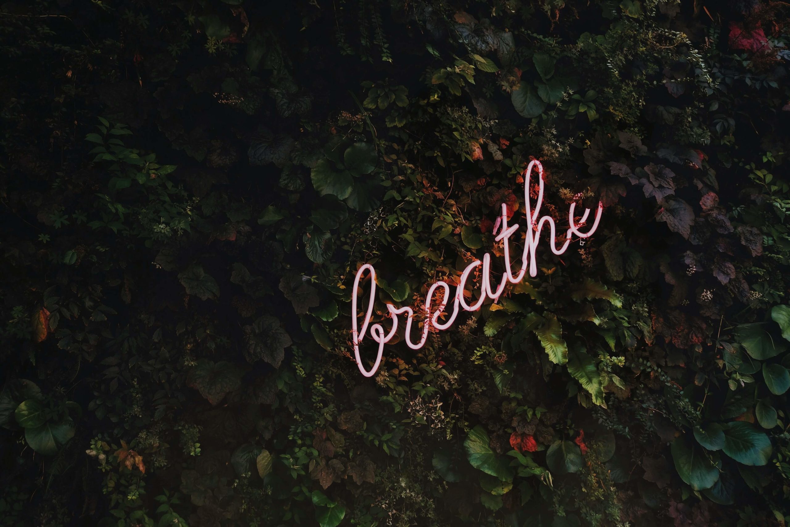 Use These Techniques To Wipe Stress Out Of Your Life